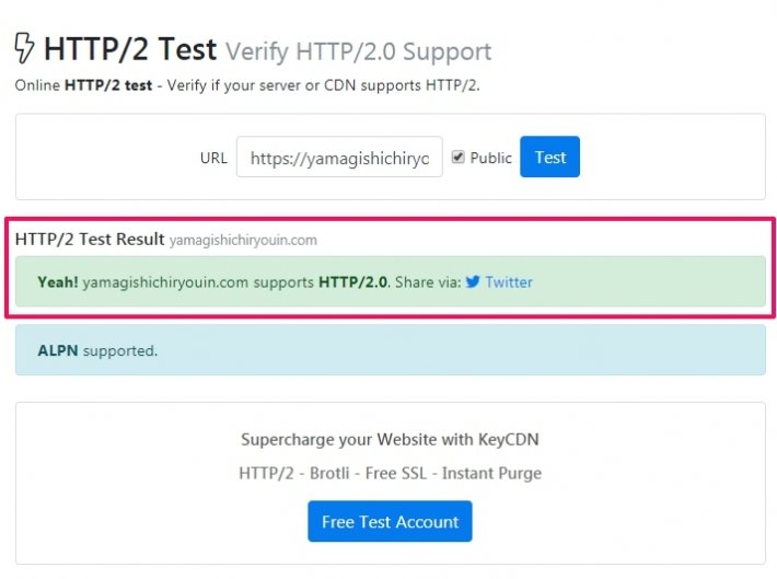 http2-check-result